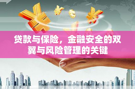 松原贷款与保险，金融安全的双翼与风险管理的关键