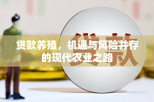 松原贷款养殖，机遇与风险并存的现代农业之路