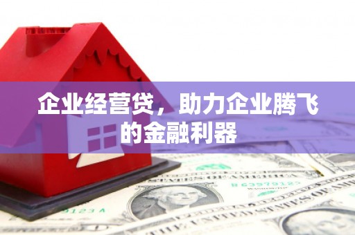 松原企业经营贷，助力企业腾飞的金融利器