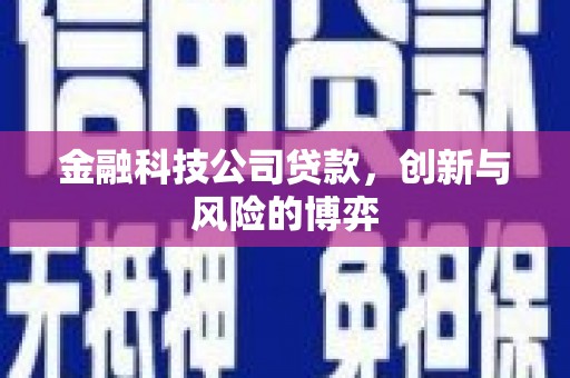 松原金融科技公司贷款，创新与风险的博弈