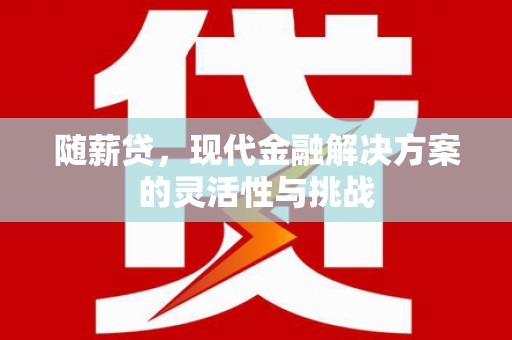 松原随薪贷，现代金融解决方案的灵活性与挑战