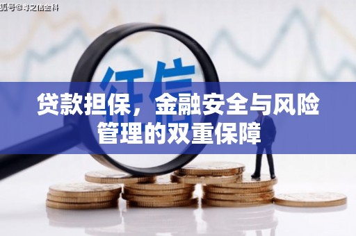 松原贷款担保，金融安全与风险管理的双重保障