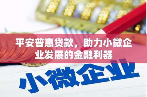 松原平安普惠贷款，助力小微企业发展的金融利器