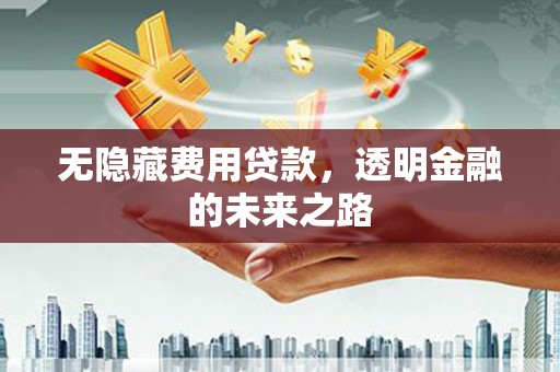松原无隐藏费用贷款，透明金融的未来之路