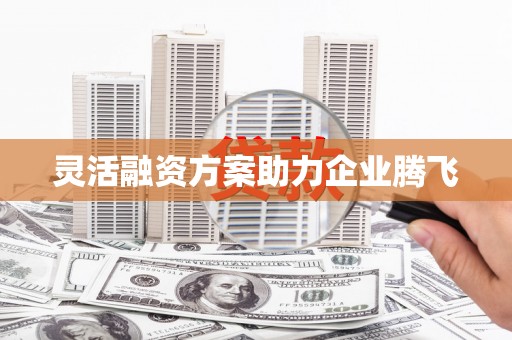 松原灵活融资方案助力企业腾飞