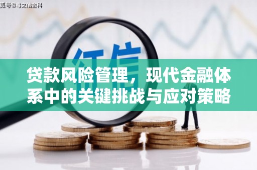 松原贷款风险管理，现代金融体系中的关键挑战与应对策略