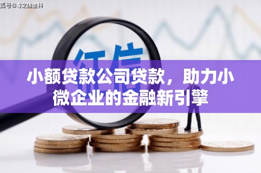 松原小额贷款公司贷款，助力小微企业的金融新引擎