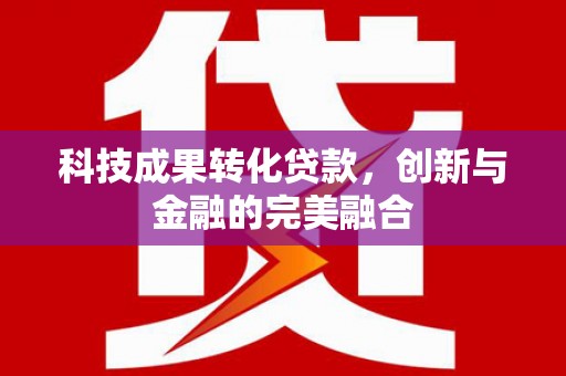 松原科技成果转化贷款，创新与金融的完美融合