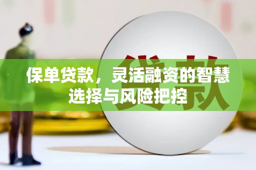 松原保单贷款，灵活融资的智慧选择与风险把控
