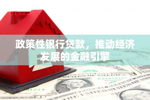 松原政策性银行贷款，推动经济发展的金融引擎