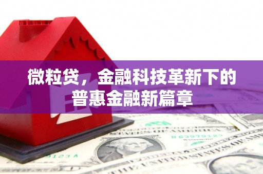 松原微粒贷，金融科技革新下的普惠金融新篇章