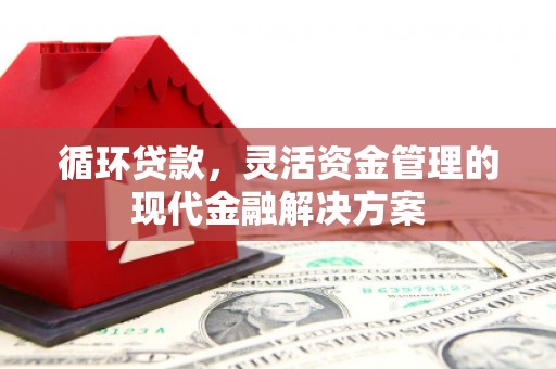 松原循环贷款，灵活资金管理的现代金融解决方案