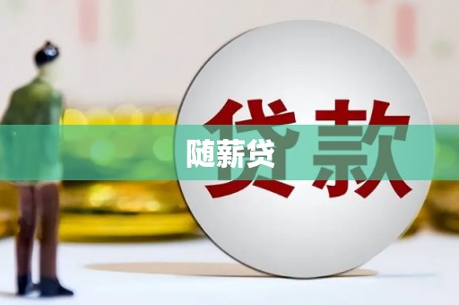 松原随薪贷