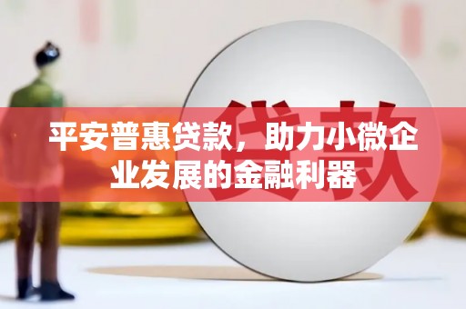 松原平安普惠贷款，助力小微企业发展的金融利器