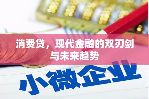 松原消费贷，现代金融的双刃剑与未来趋势