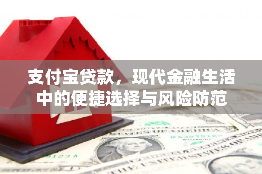 松原支付宝贷款，现代金融生活中的便捷选择与风险防范