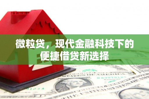 松原微粒贷，现代金融科技下的便捷借贷新选择