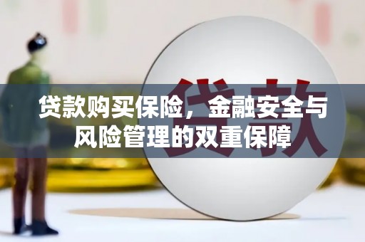 松原贷款购买保险，金融安全与风险管理的双重保障