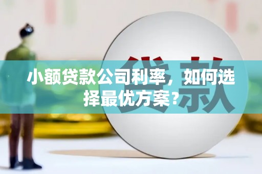 松原小额贷款公司利率，如何选择最优方案？