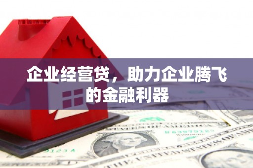 松原企业经营贷，助力企业腾飞的金融利器