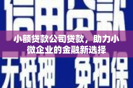 松原小额贷款公司贷款，助力小微企业的金融新选择
