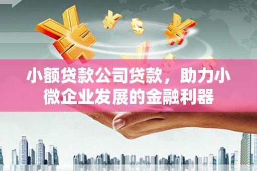 松原小额贷款公司贷款，助力小微企业发展的金融利器