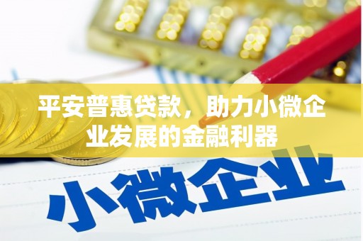 松原平安普惠贷款，助力小微企业发展的金融利器