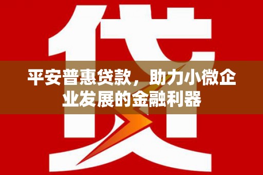 松原平安普惠贷款，助力小微企业发展的金融利器