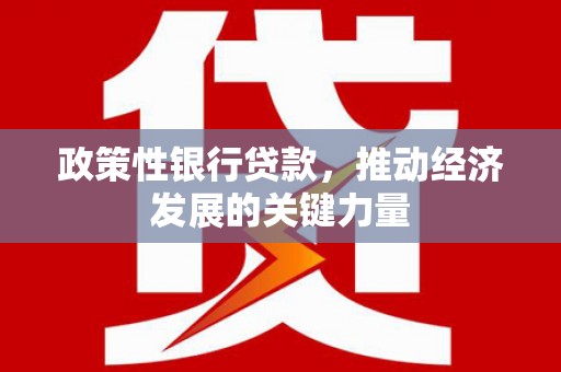 松原政策性银行贷款，推动经济发展的关键力量
