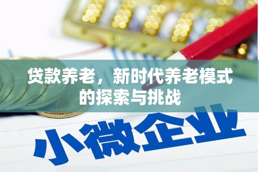 松原贷款养老，新时代养老模式的探索与挑战