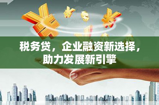 松原税务贷，企业融资新选择，助力发展新引擎