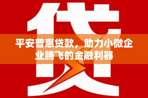 松原平安普惠贷款，助力小微企业腾飞的金融利器