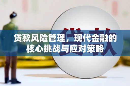 松原贷款风险管理，现代金融的核心挑战与应对策略