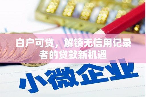 松原白户可贷，解锁无信用记录者的贷款新机遇