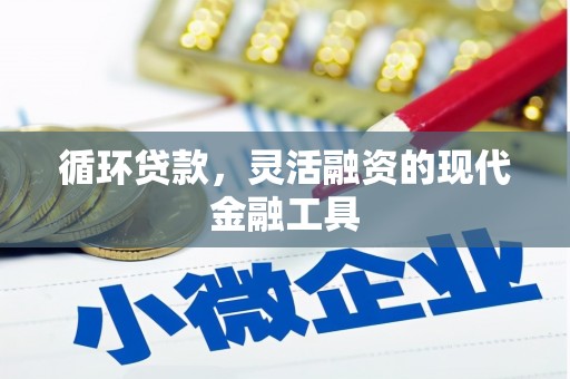 松原循环贷款，灵活融资的现代金融工具