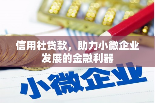松原信用社贷款，助力小微企业发展的金融利器