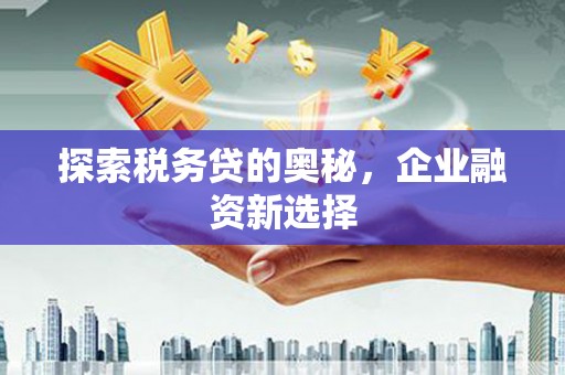 松原探索税务贷的奥秘，企业融资新选择