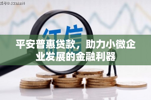 松原平安普惠贷款，助力小微企业发展的金融利器