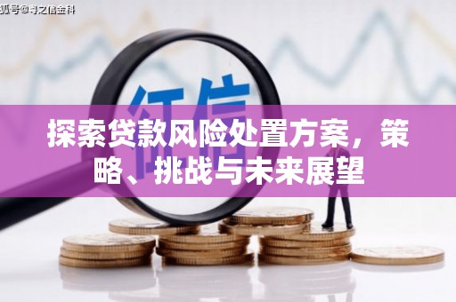 松原探索贷款风险处置方案，策略、挑战与未来展望