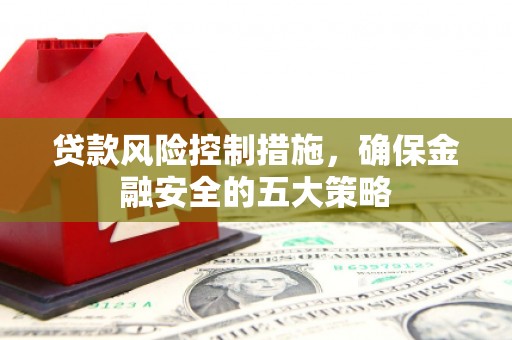 松原贷款风险控制措施，确保金融安全的五大策略