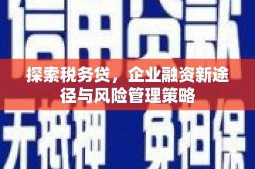 松原探索税务贷，企业融资新途径与风险管理策略