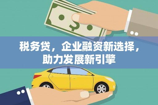 松原税务贷，企业融资新选择，助力发展新引擎