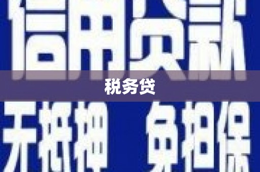 松原税务贷