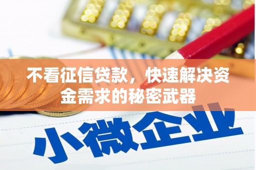 松原不看征信贷款，快速解决资金需求的秘密武器