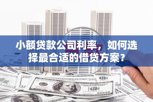 松原小额贷款公司利率，如何选择最合适的借贷方案？