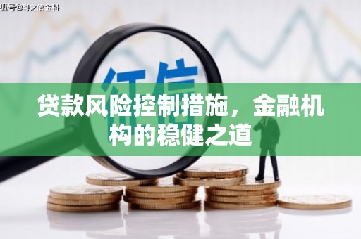 松原贷款风险控制措施，金融机构的稳健之道