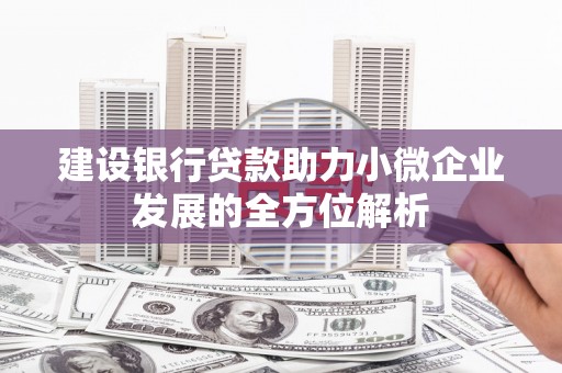 松原建设银行贷款助力小微企业发展的全方位解析