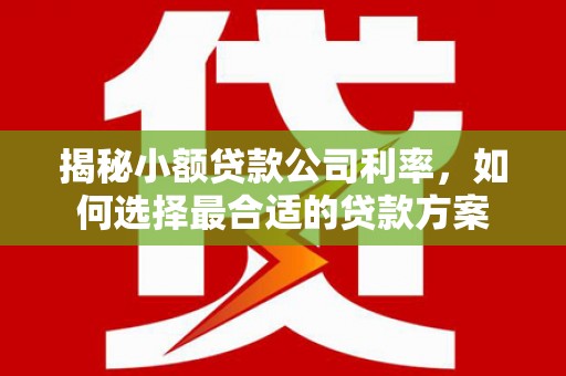 松原揭秘小额贷款公司利率，如何选择最合适的贷款方案
