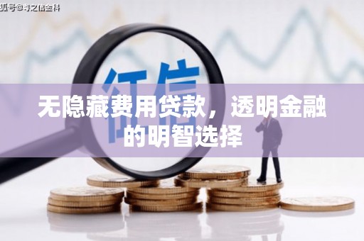 松原无隐藏费用贷款，透明金融的明智选择