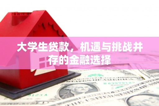松原大学生贷款，机遇与挑战并存的金融选择
